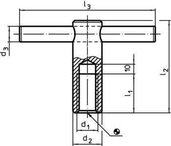                                             Pi­uliţe cu gaură transver­sală pă­trunsă DIN 6305 cu ştift fix
 IM0001788 Zeichnung

