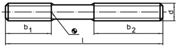                                             Śruby dwu­stron­ne DIN 6379 długie b1 do nakrętek do wpustów teowych
 IM0002535 Zeichnung

