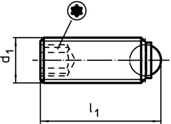                                             Śruby kulkowe dociskowe bez łba, pełna kulka i gniazdo torx
 IM0009166 Zeichnung
