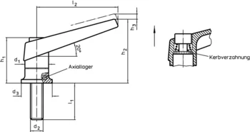                                             Ver­stell­ba­re Klemm­he­bel mit Axiallager aus rostfreiem Stahl, mit Schraube
 IM0001806 Zeichnung de
