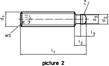                                            平頭螺釘 DIN 6332 有推力點型式S
 IM0010291 Zeichnung en
